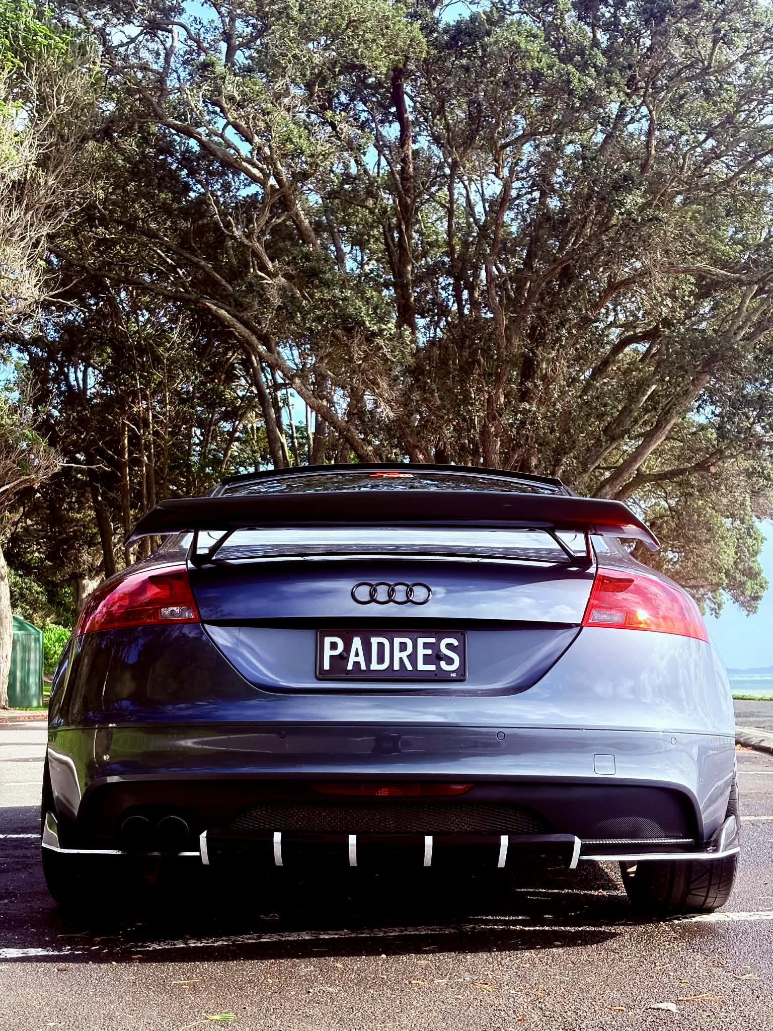 Gloss Black Diffuser