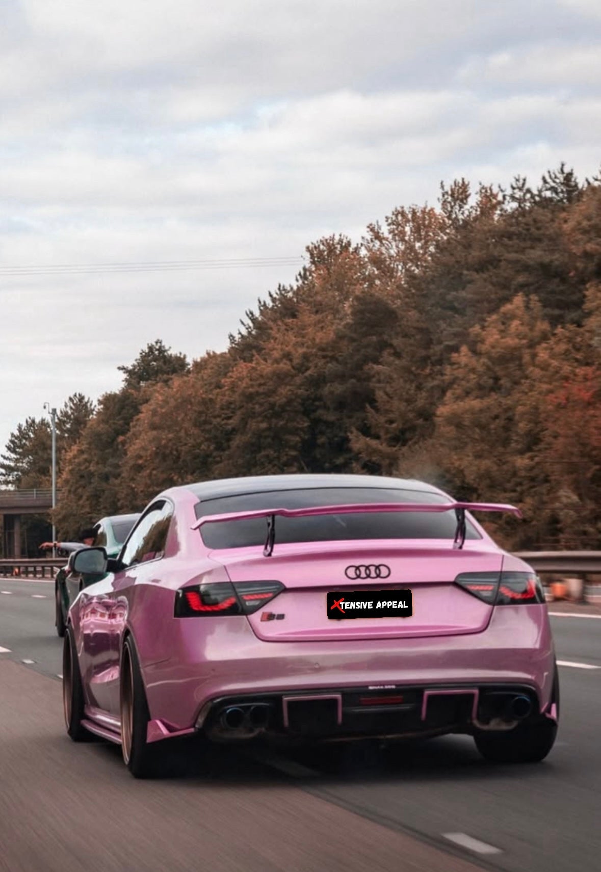 Euro Sport Wing Spoiler (Gloss Black)