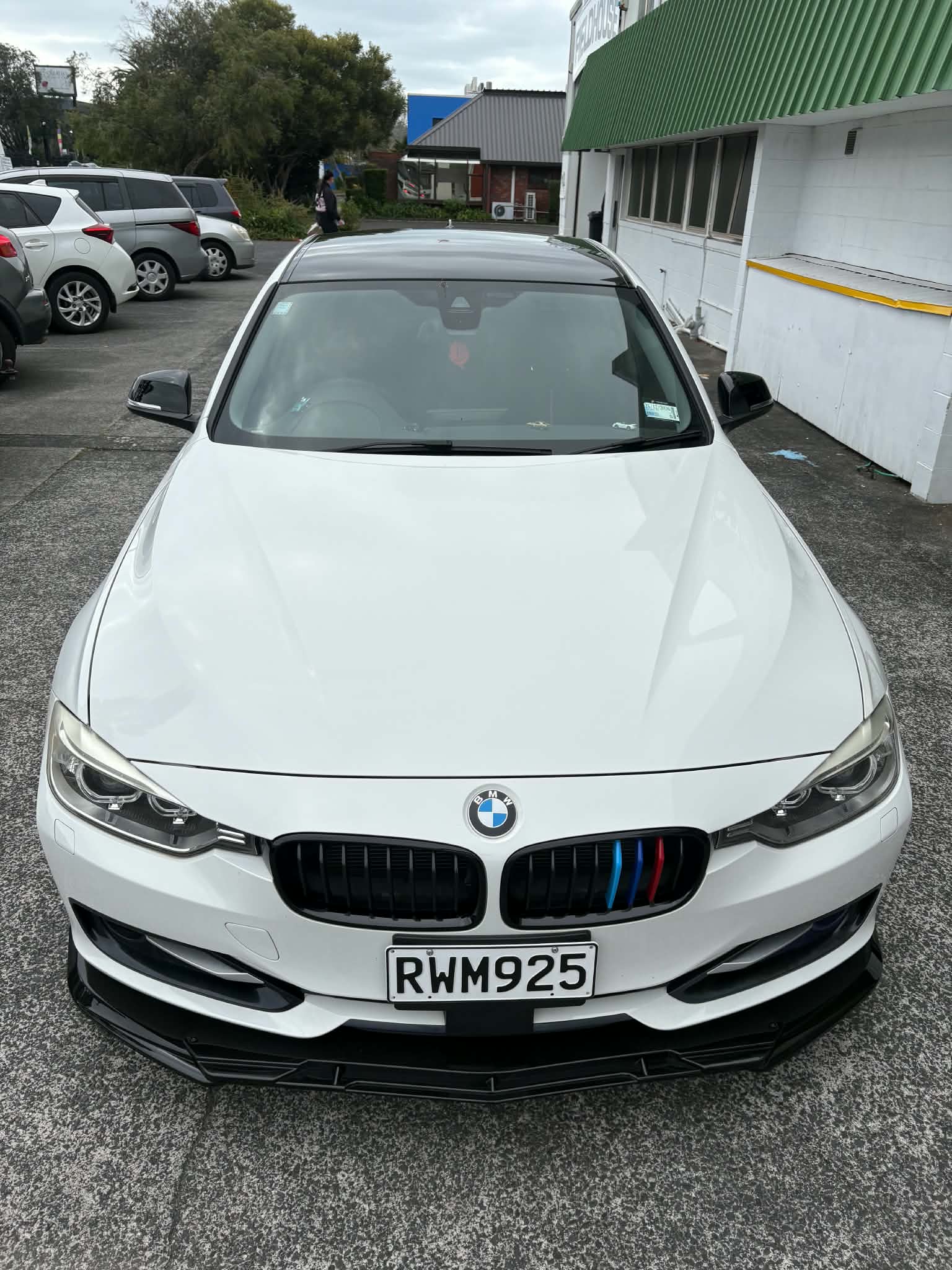 BMW Grill Inserts